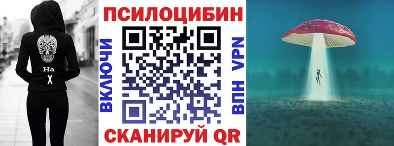 Галлюциногенные грибы GOLDEN TEACHER Томмот